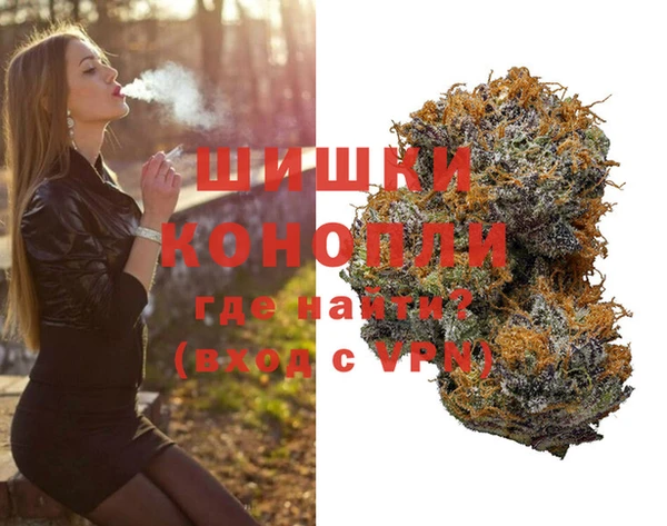 индика Кукмор