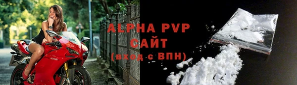 индика Кукмор