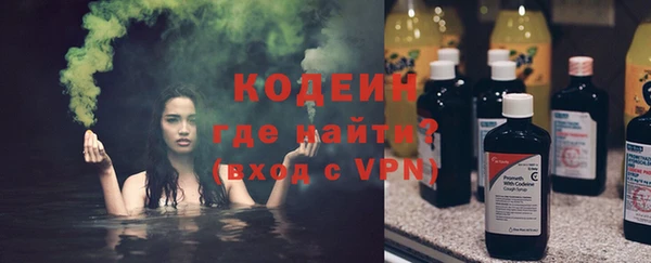 индика Кукмор