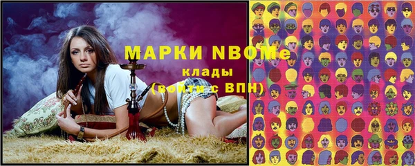 индика Кукмор