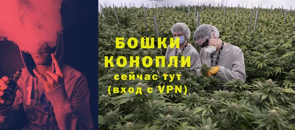 индика Кукмор