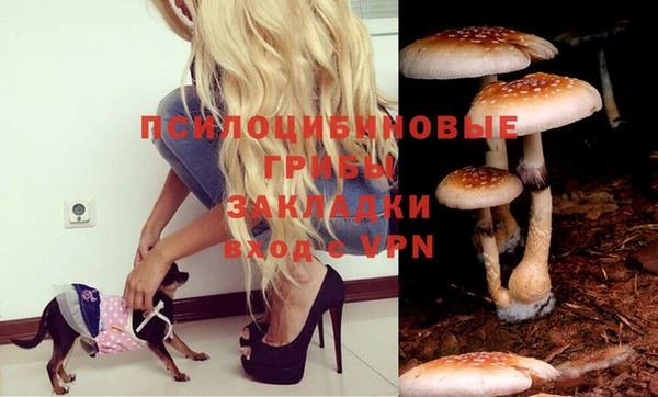 кокс Куйбышев