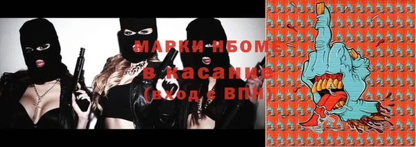 индика Кукмор