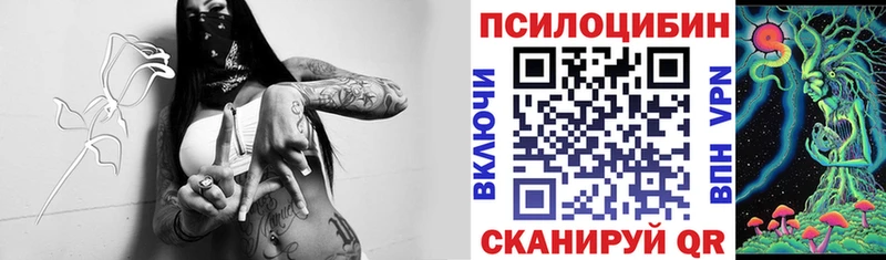 Псилоцибиновые грибы GOLDEN TEACHER  Жигулёвск 